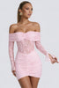 Larna Lace mini dress